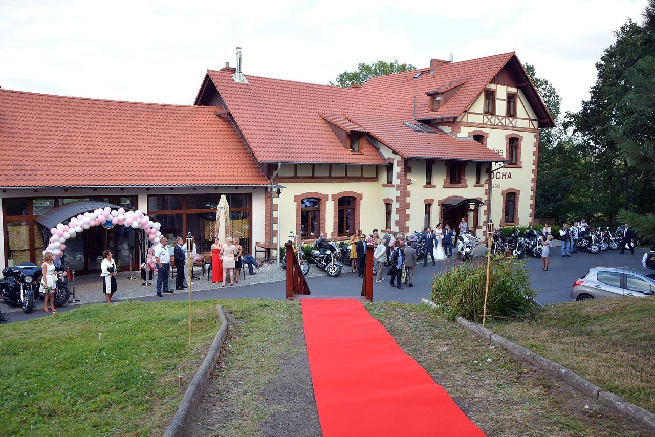 Czocha Palace&Czocha Camping - Or Czocha Leśna Exterior foto